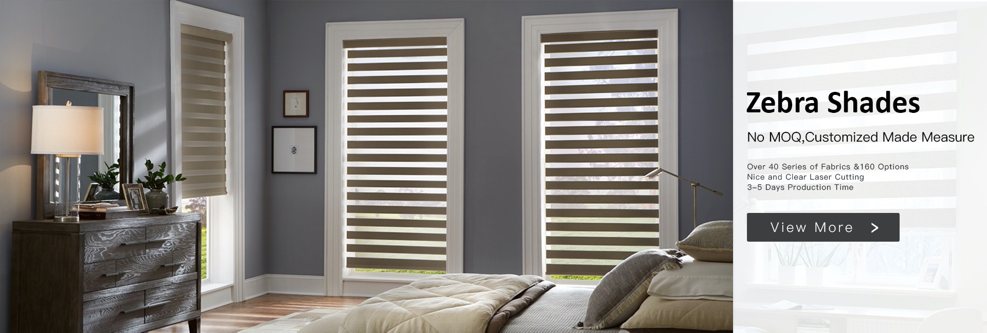 Zebra Blind
